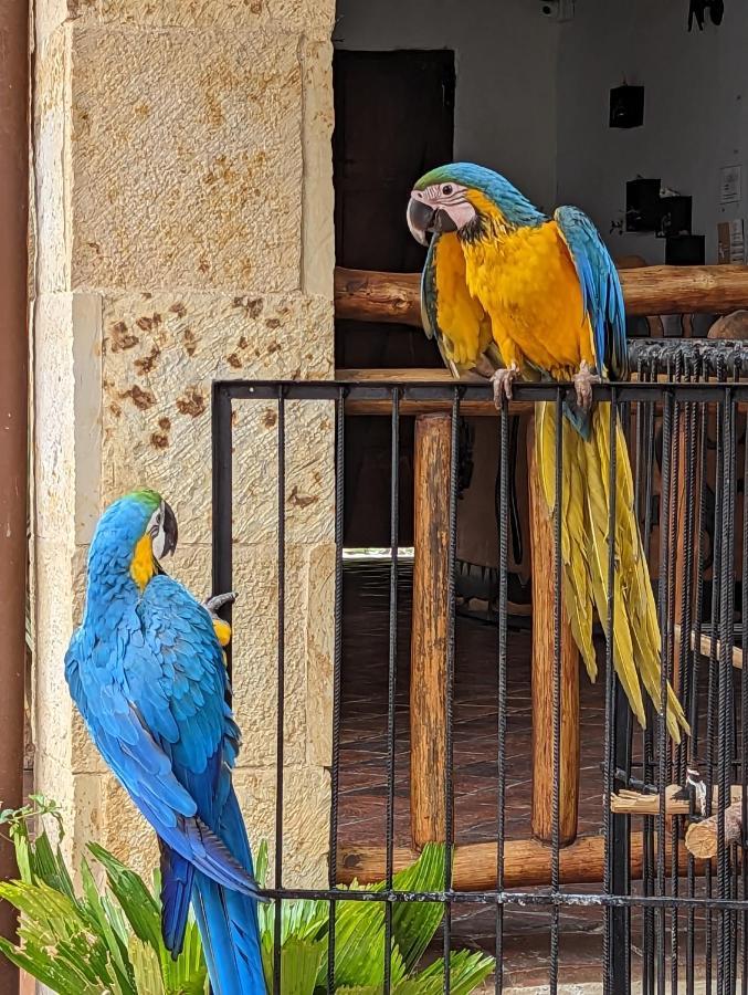 Las Cabezas Grises Barichara Exterior photo